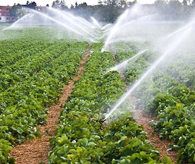 Agriculture & Irrigation