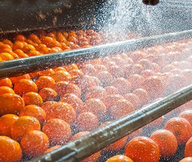 Food & Beverage